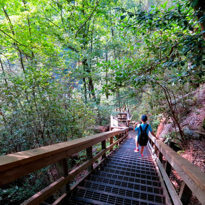 Near Tallulah Gorge Floor: Sliding Rock Loop