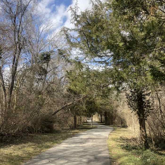 Near Galloway Creek Greenway