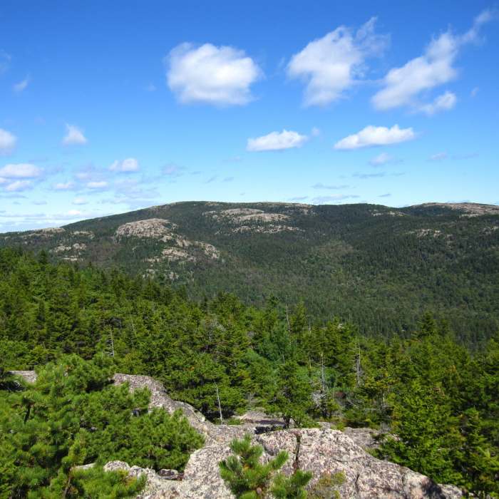 Sargent Mountain. Near Norumbega Mountain Loop