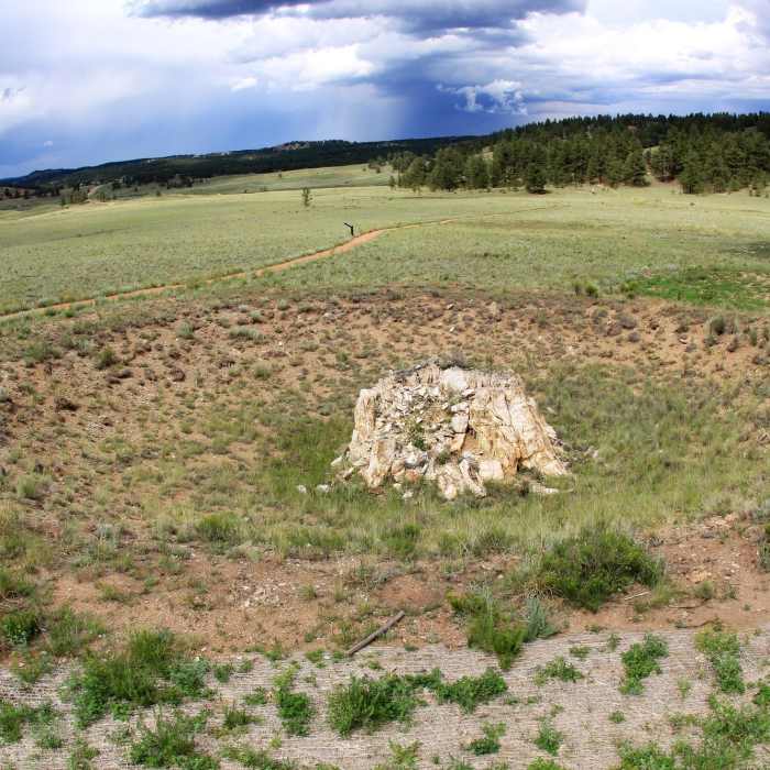 Ponderosa redwood stump overlook. Near Boulder Creek Trail