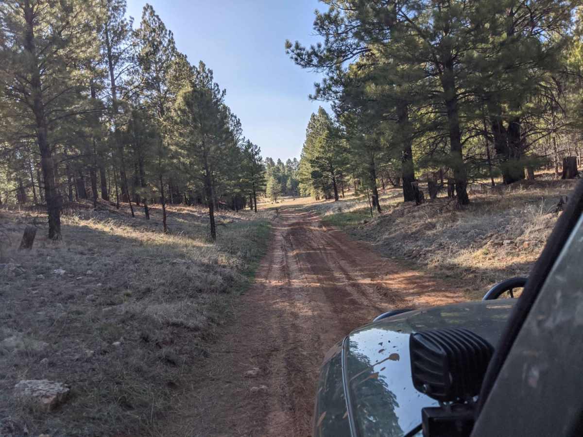 00296 Road photo 2