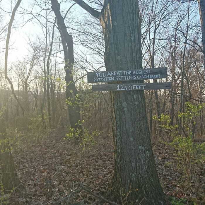 Near Red Trail