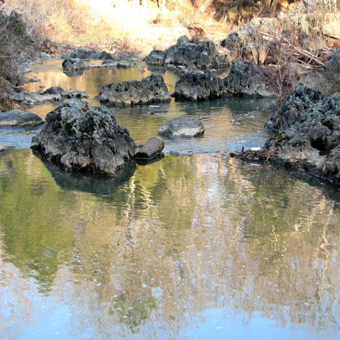 Near Robin's Trail