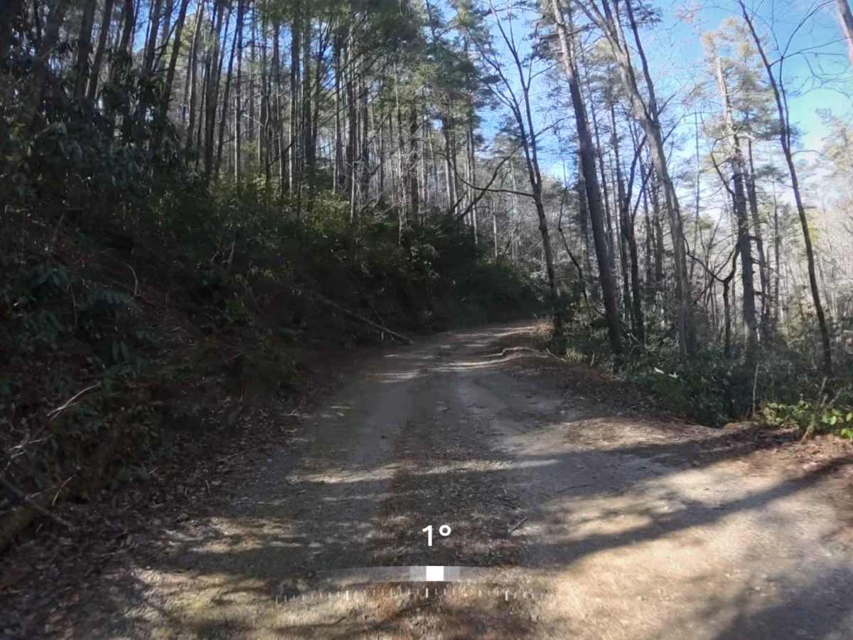 Raper Creek Road - FS 376 photo 3
