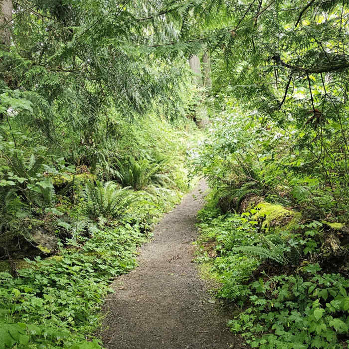 Near Peabody Creek Loop