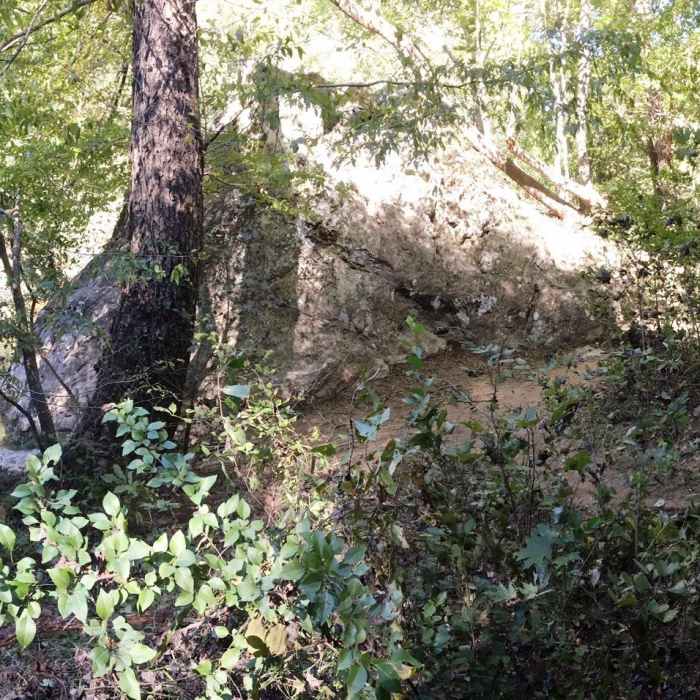 Near Occoneechee Mountain Loop Trail