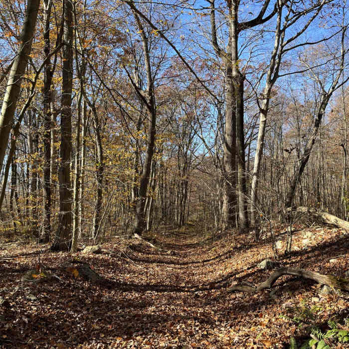 Near Deer Park Loop Near Deer Park Loop