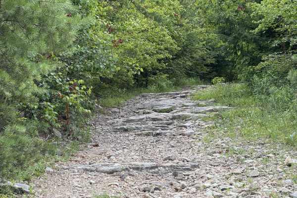 Beech Creek Access 