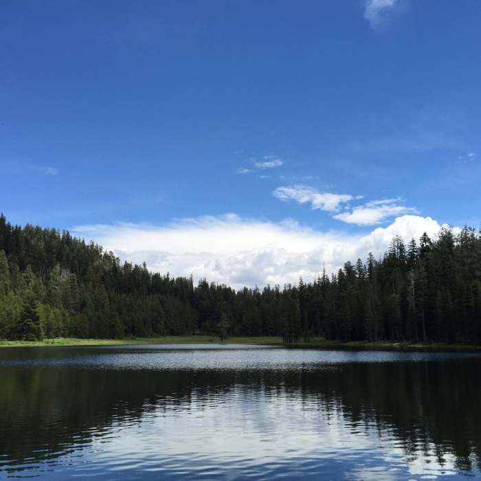 View of Lukens Lake from the far side of the lake. Near Lukens Lake