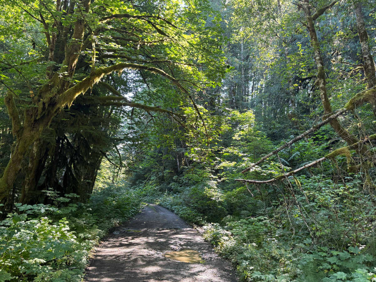 Peekaboo Lake Trail photo 3