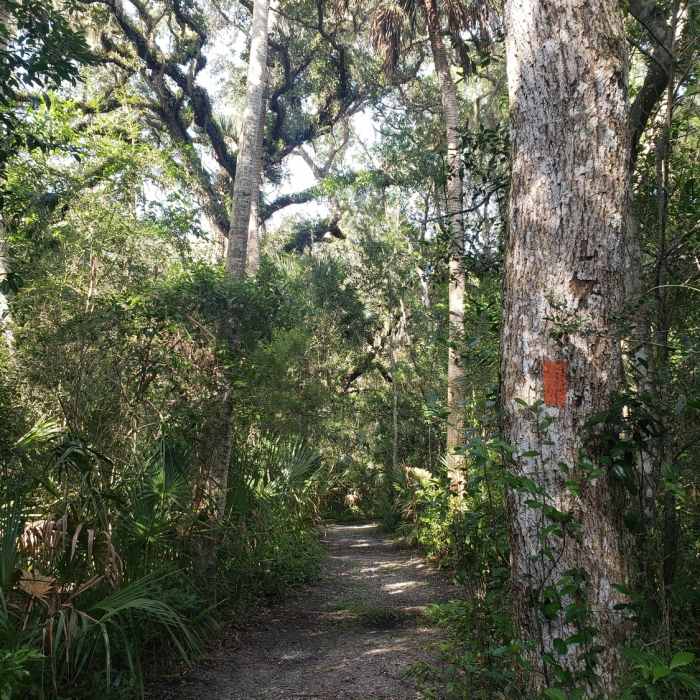 The trail is well marked and the width and surface make it ideal for trail runners. Near Bella Vista Trail