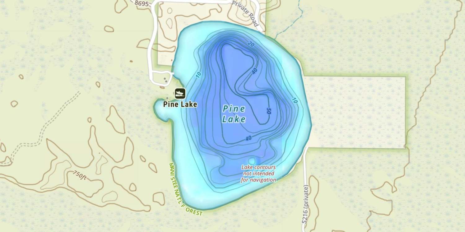 Pine Lake Fishing Maps, Tips, Regulations, and Hot Spots | onX