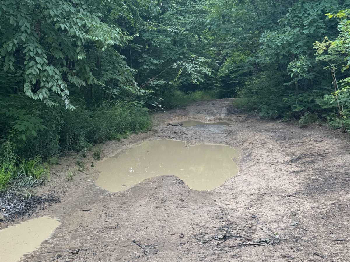 Trail 86 photo 2