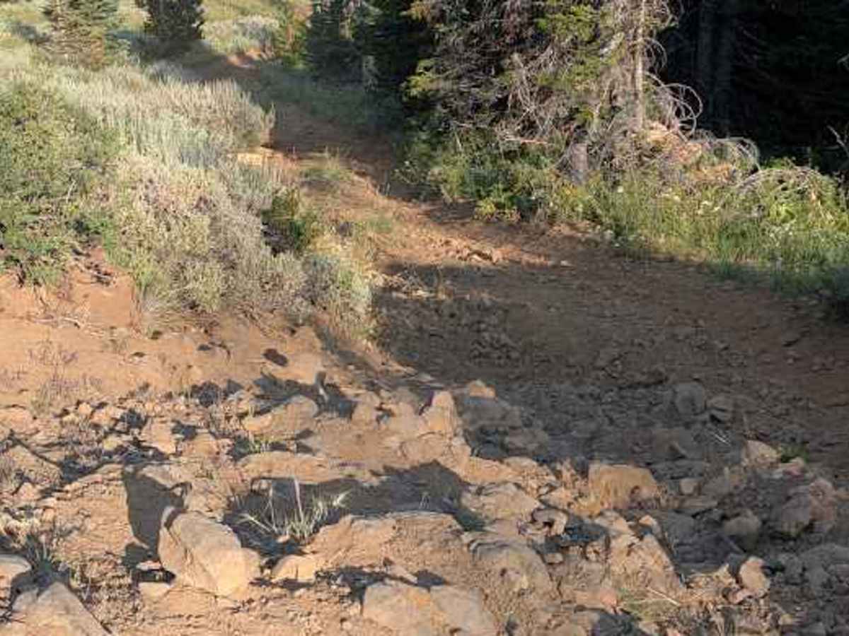 Nealy Creek - FS 4W315 photo 6