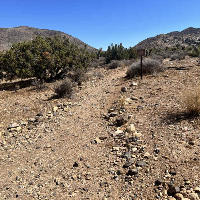 Near Ryan Campground to Geology Tour Road Loop