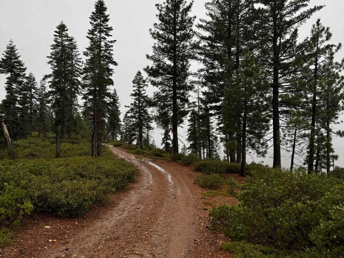 American Hill Trail photo 4