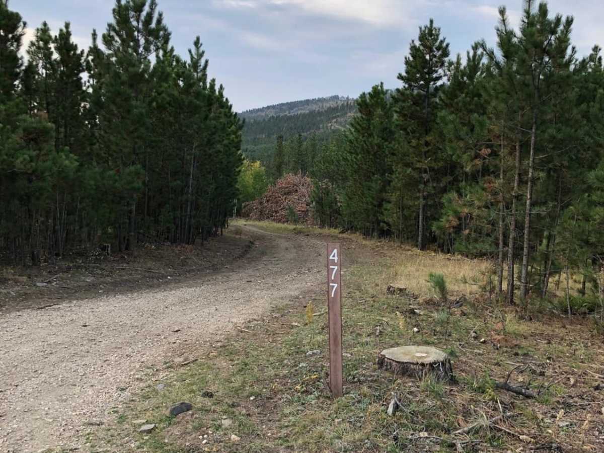 White House Gulch FS RD 477 trail photo