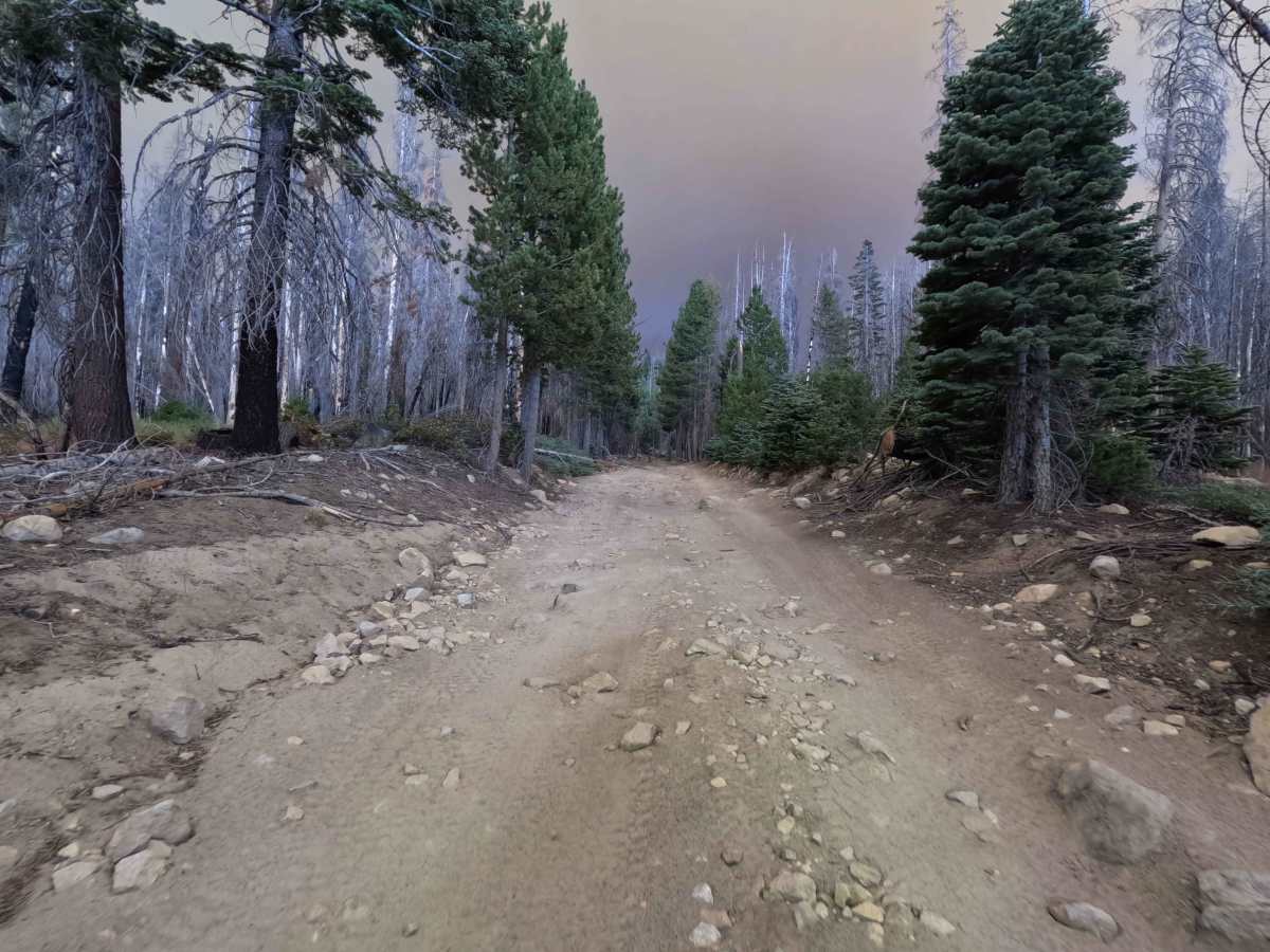 Red Lakes Road - FS 8S042 photo 6