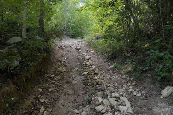 Pete Hollow Trail