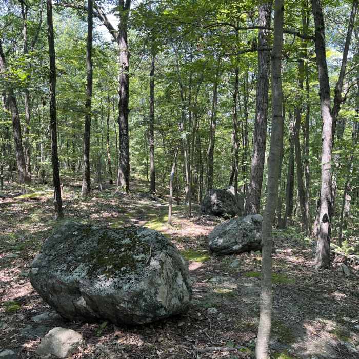 Near Iron Mine Trail Near Iron Mine Trail