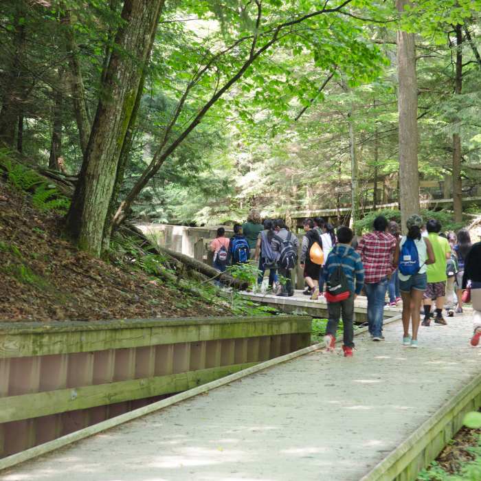 Photo courtesy of MI Dept. of Natural Resources. © 2018 State of Michigan Near Homestead Loop