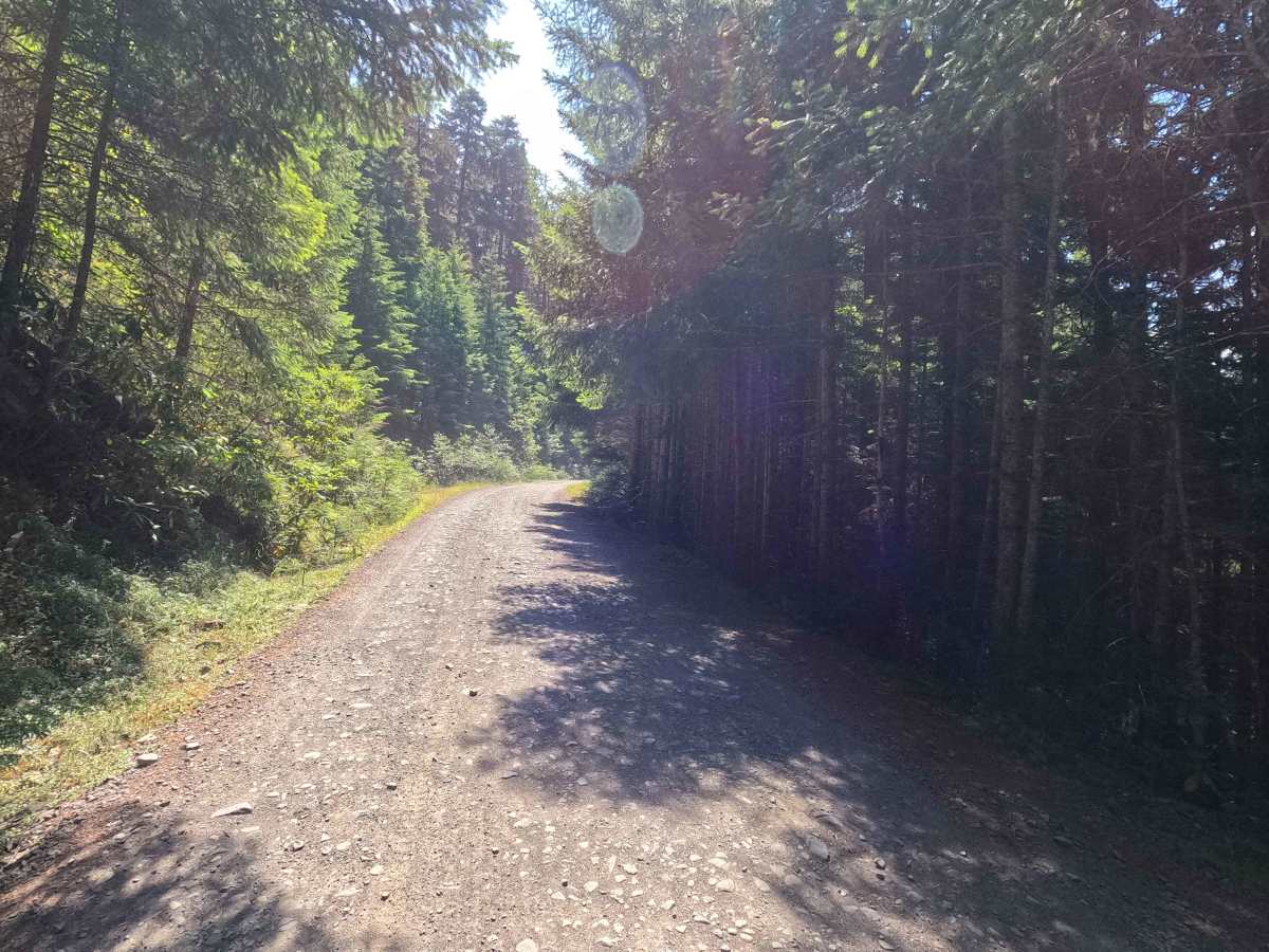 Upper Dunegeness Fork - FS 2870 photo 3