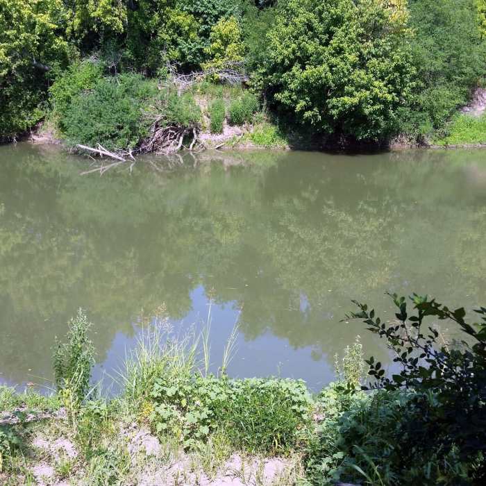 Trinity River's Elm Fork Overlook Near Campion Trail (North)