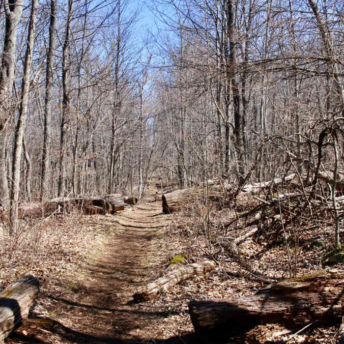 Near Overall Run Falls