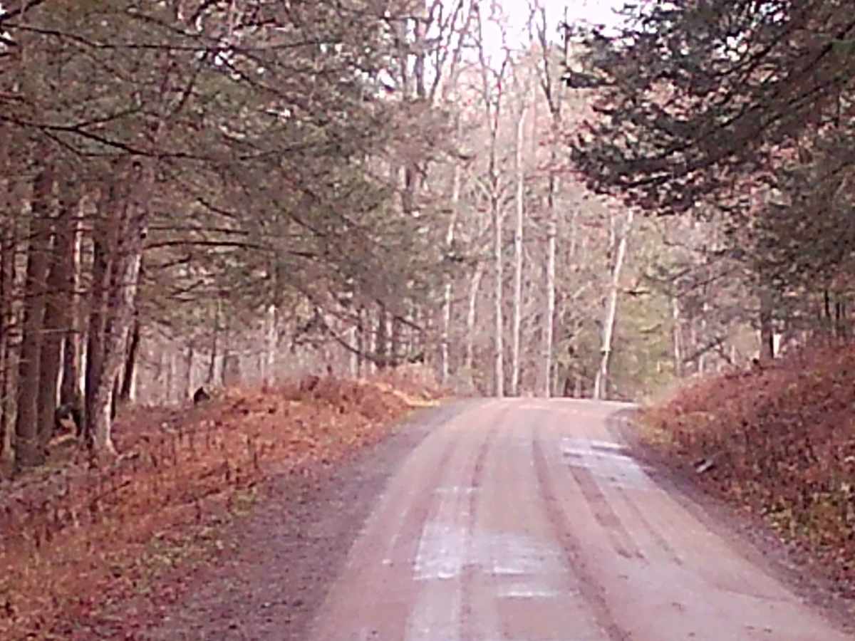 Brunnerdale Road photo 3