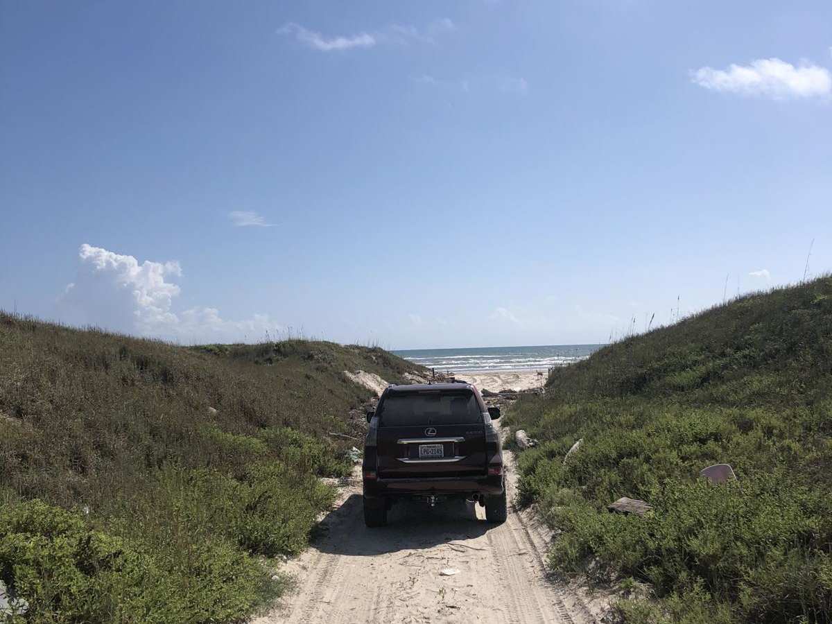 Padre Island National Seashore photo 6
