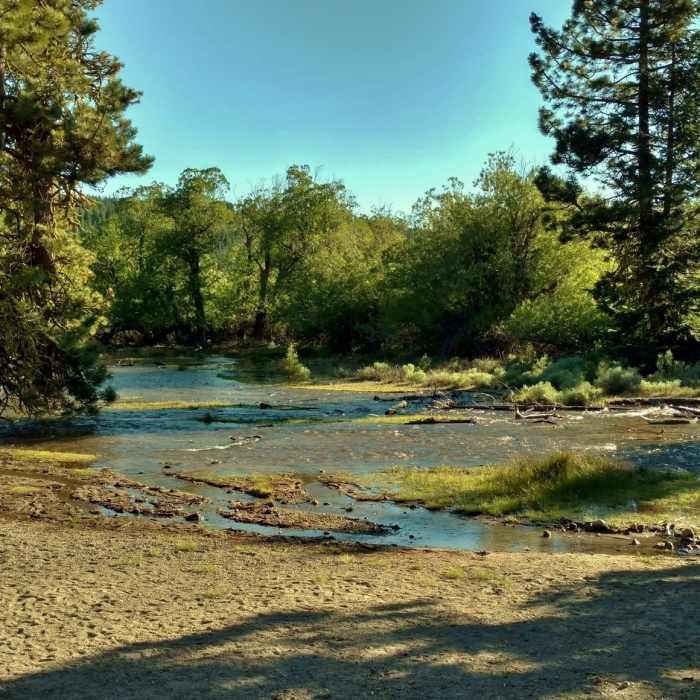 Near Manzanita Lake Loop