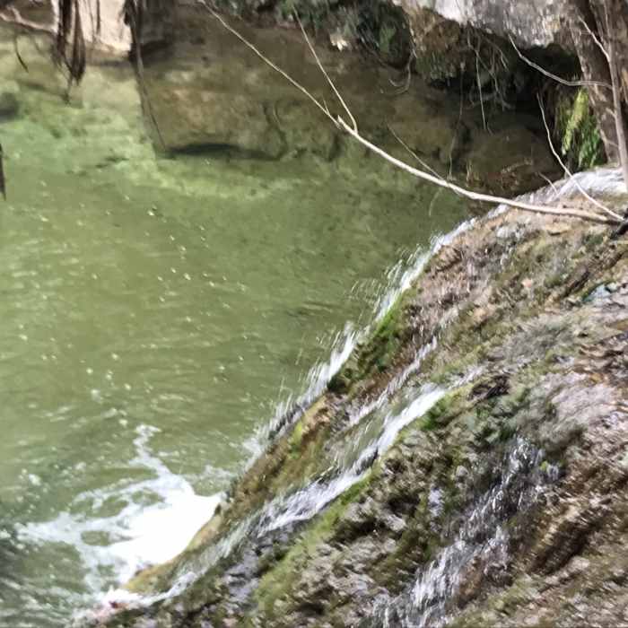 Near Wild Basin Outer Loop