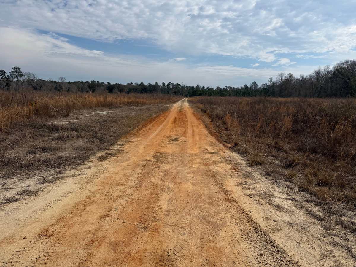 Grid Loop Road photo 2