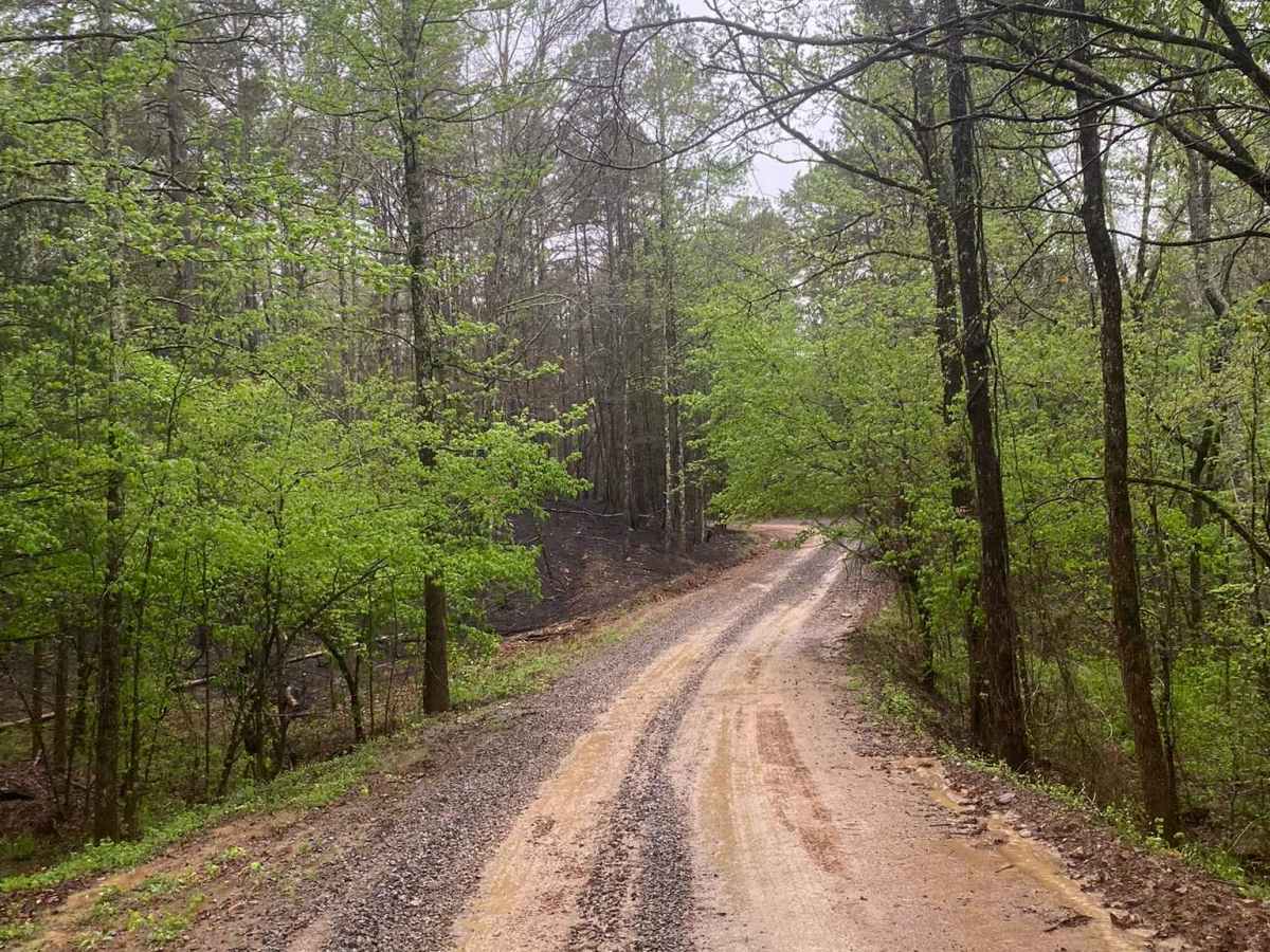 Little Bigger Road photo 2
