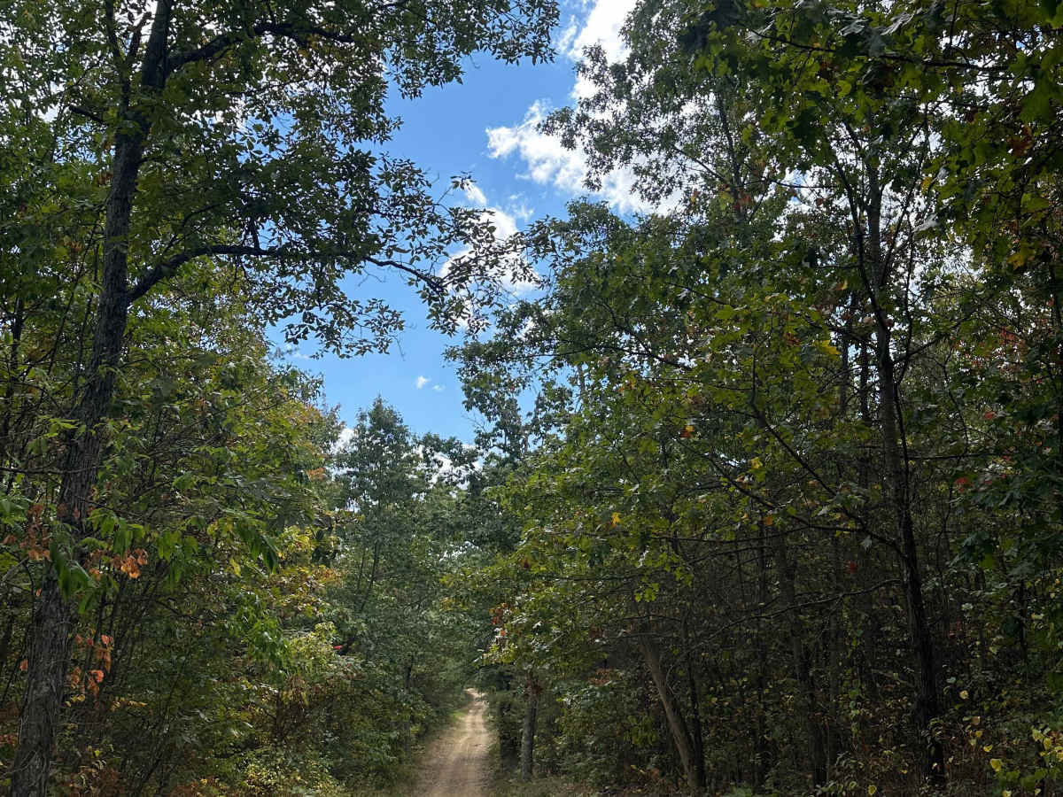 Raccoon Ridge  photo 4