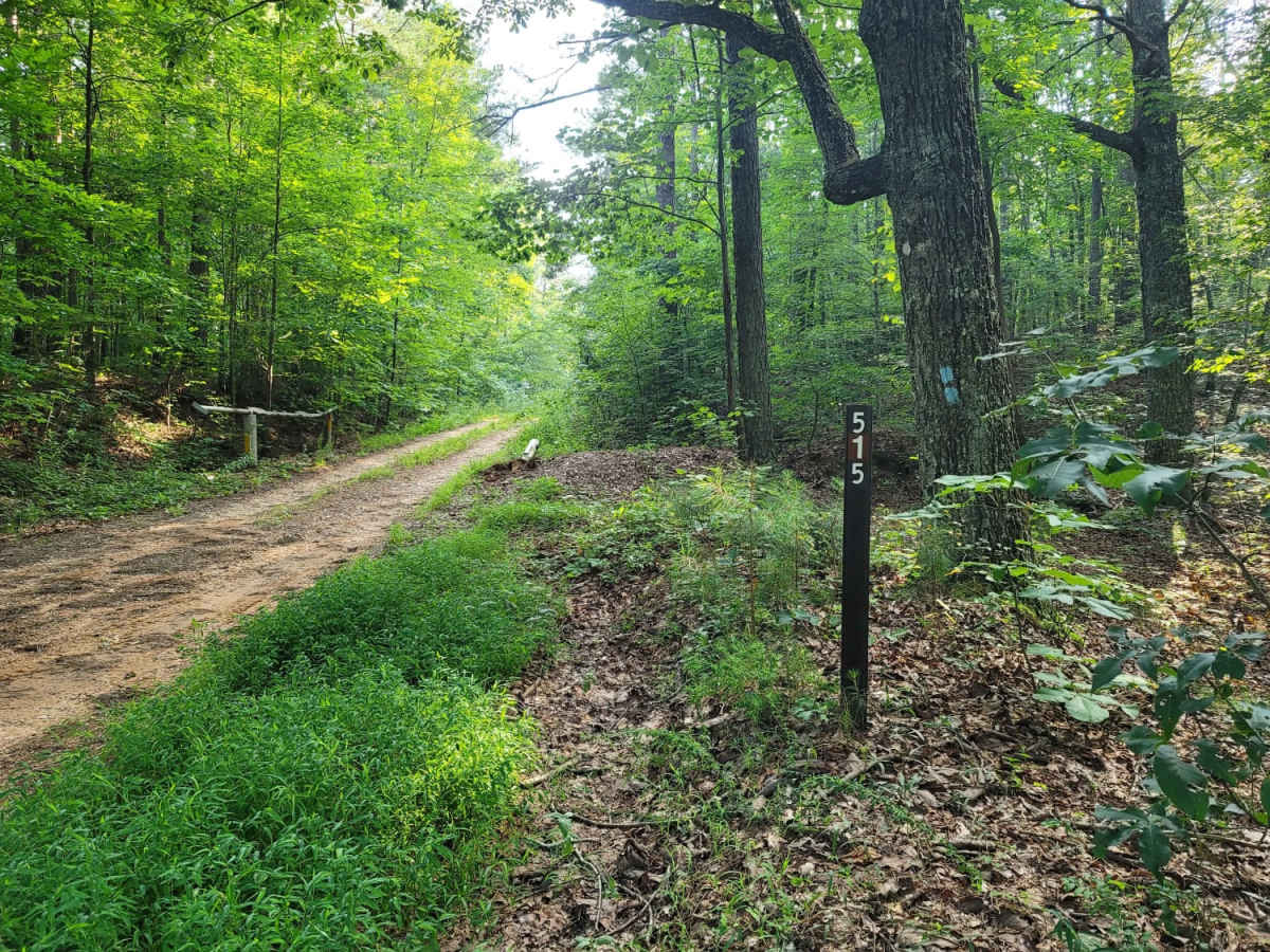USFSR #515 Watts Mountainway East trail photo