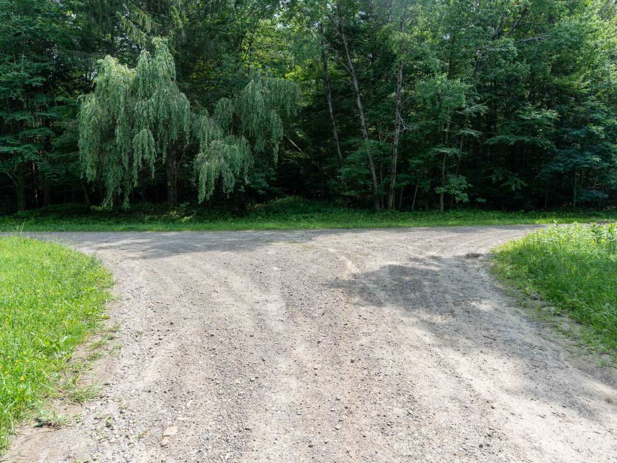 Canaseraga Truck Trail photo 5