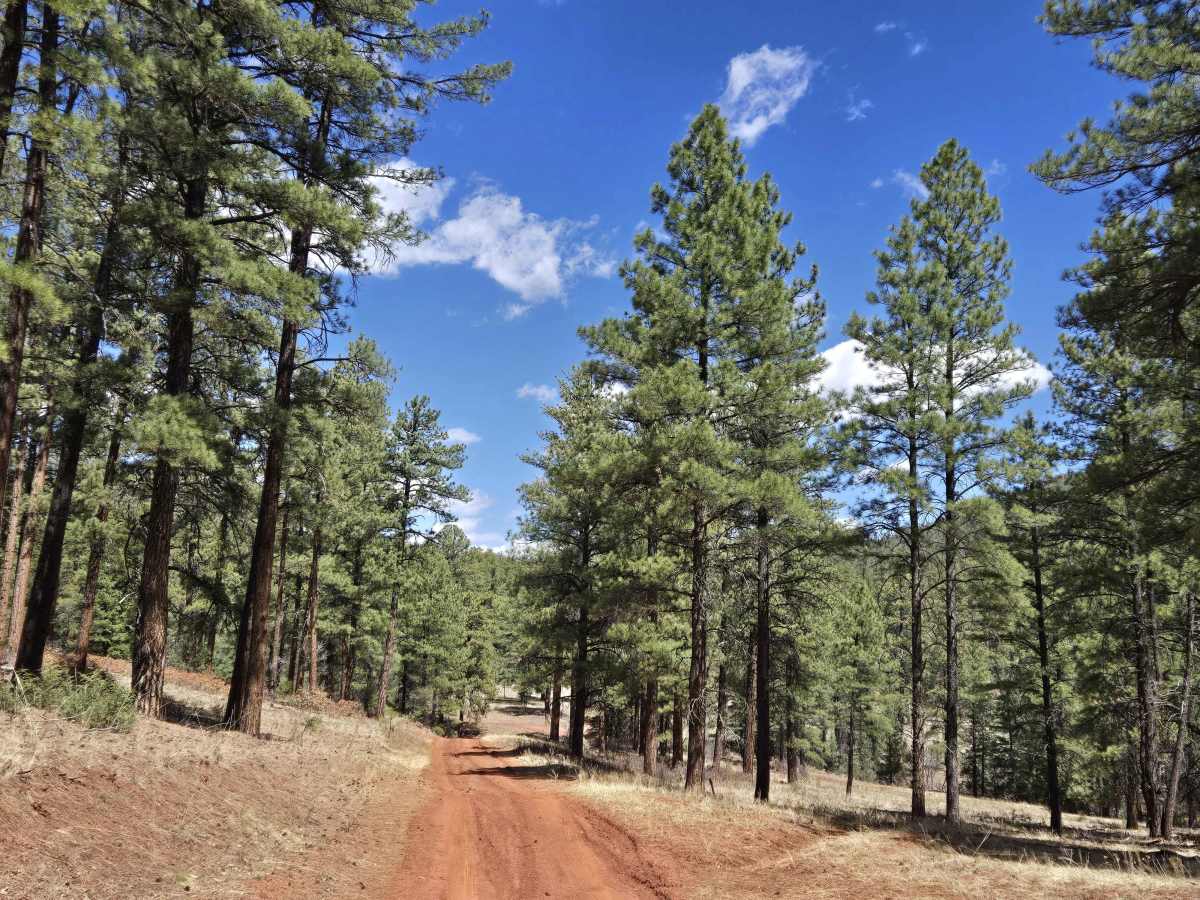 Hogback Trail photo 2