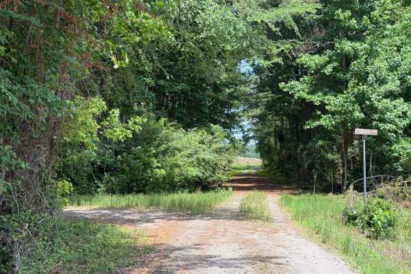 Andrews Pond Road