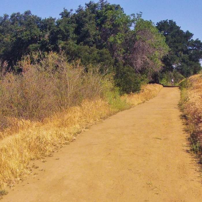 Near Black Walnut Trail