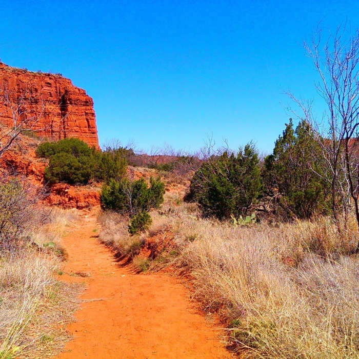 Upper Canyon Trail (trail C) east of Fern Cave Near Haynes Ridge - Fern Cave Loop