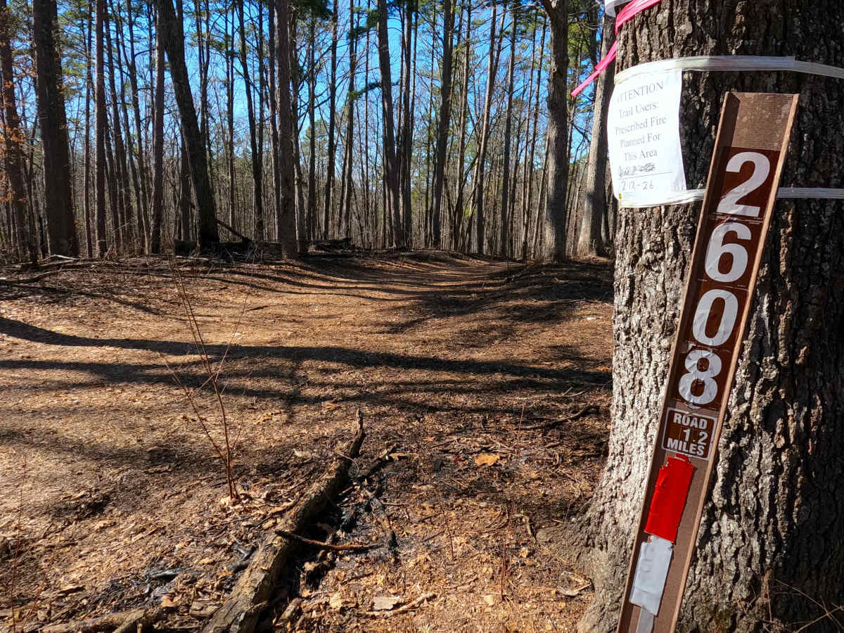 Billys Branch - FS 2608 trail photo