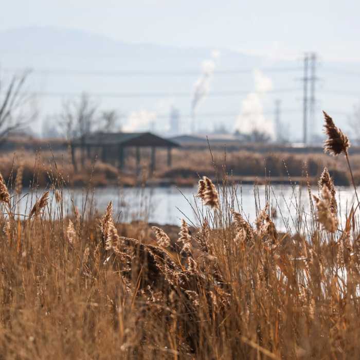 Near Bountiful Lake Loop