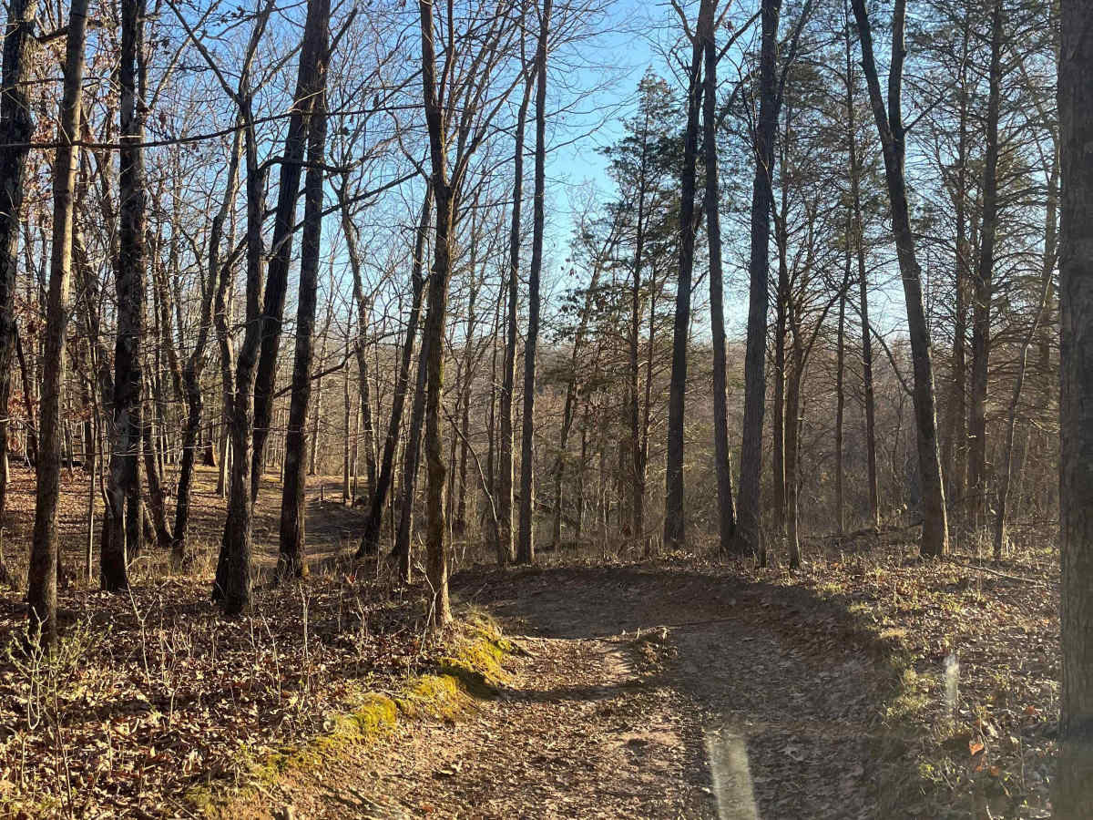 Overlook Trail photo 4