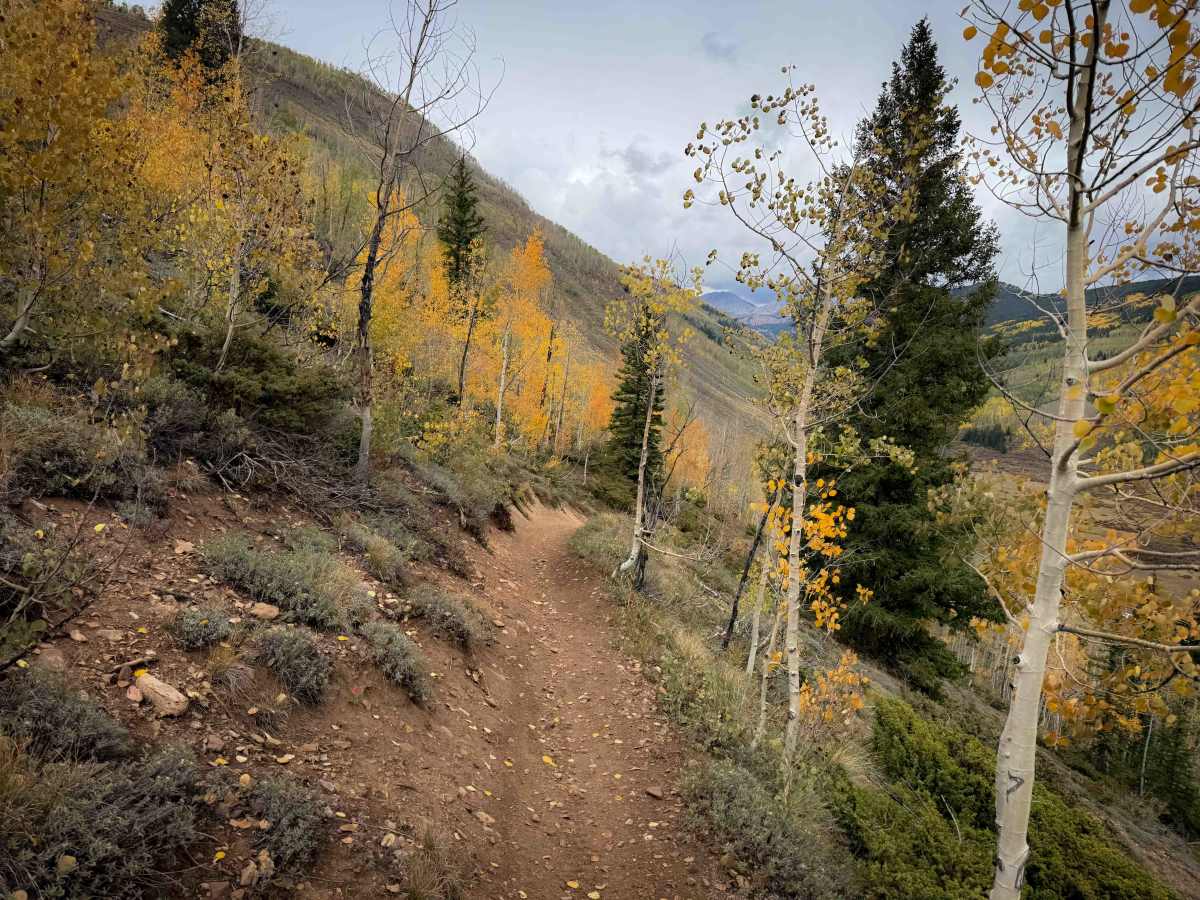 Warm Springs Trail 406  photo 2