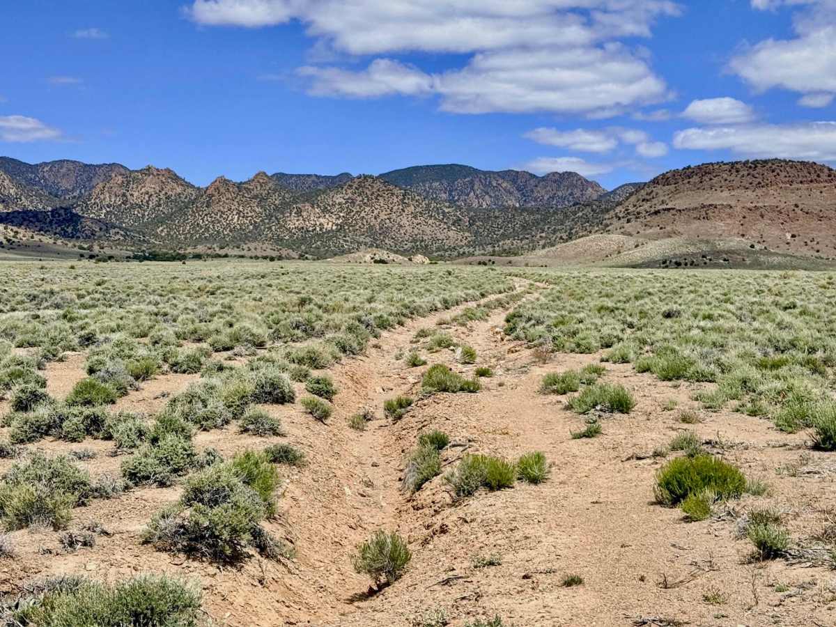 Fourmile Basin Road - FS 44164B trail photo