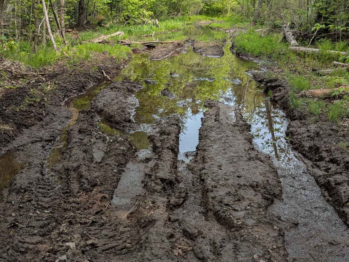 Bald Mountain Trail trail photo