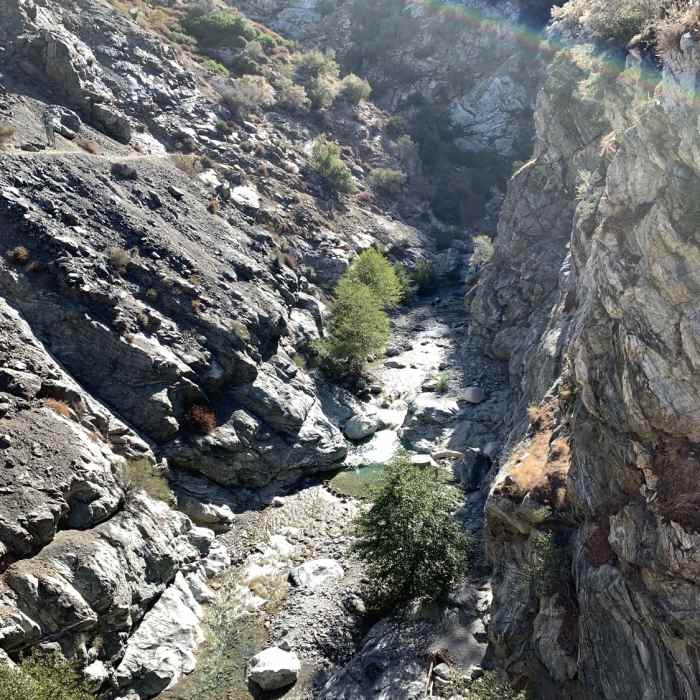 Near Bridge to Nowhere - East Fork Trail #8W13