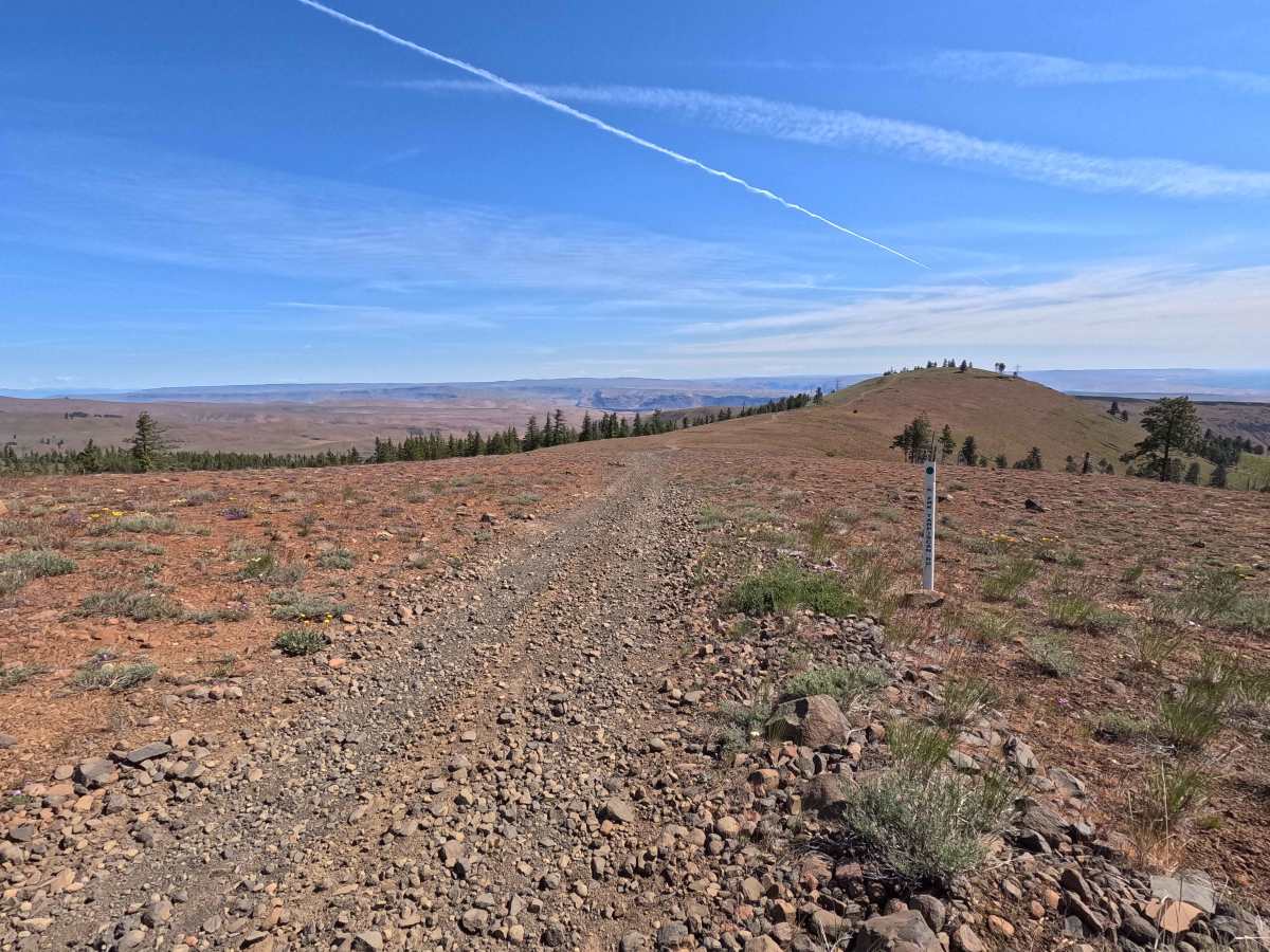 North Fork Spur Road trail photo