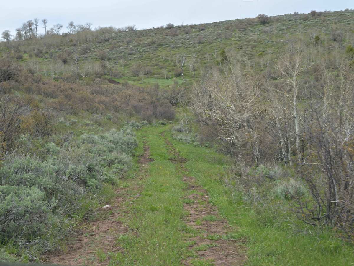 Marvin Spring Loop - FS 10053 photo 3